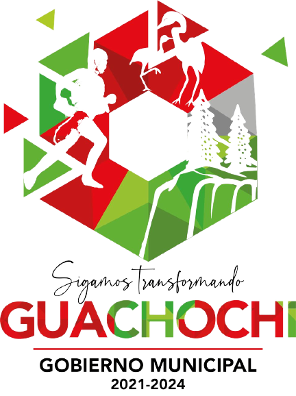 G10-G11_y__H3-H4_Guachochi-removebg-preview
